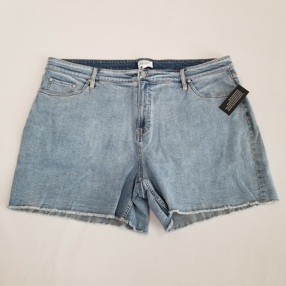 Candace Cameron Bure Denim Shorts Size 24WP NWT